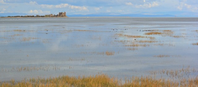 21-lunch-time-plus-forty-ruth-livingstone-morecambe-bay