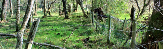 21-more-barbed-wire-ruth-hiking-in-cumbria