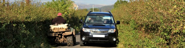 22-farmer-on-buggy-ruth-livingstone