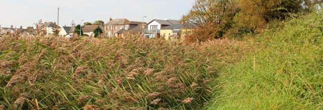 22-rampside-marsh-ruth-hiking-the-coast-cumbria