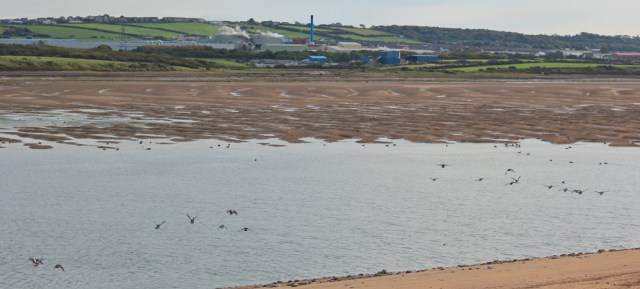 22-walney-channel-ruth-walking-the-coast