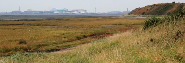 24-roosecote-sands-ruths-coastal-walk-barrow-in-furness