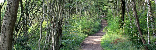 25-arnside-ruths-coastal-walk