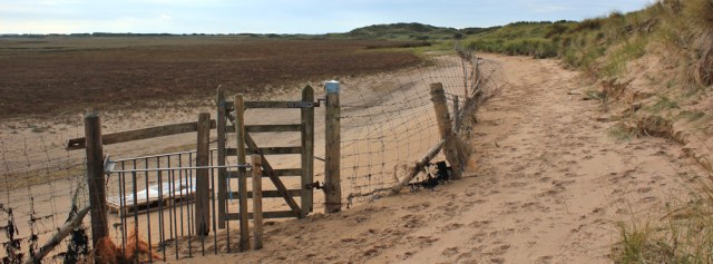 25-fences-on-marsh-north-walney-nature-reserve-ruths-coastal-walk