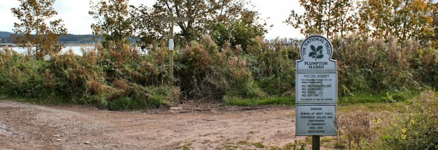 25-plumpton-marsh-ruth-walking-the-leven-estuary-to-barrow-on-furness