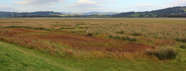 27-inland-to-foulshaw-moss-ruth-hiking-the-cumbria-coastal-way