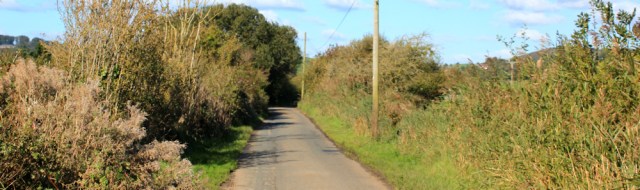 27-road-walking-to-lakeland-leisure-park-ruth-walking-the-english-coast