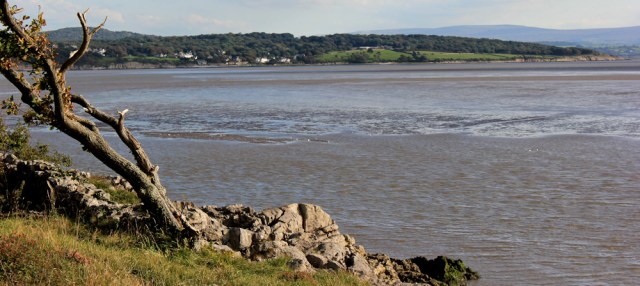 28-view-back-to-silverdale-ruth-livingstone-cumria