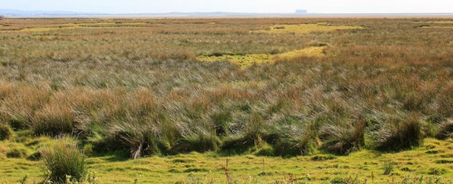 29-across-marsh-and-morecambe-bay-to-heysham-ruth-walking-the-english-coast