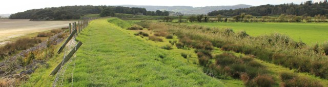 29-crag-wood-ruth-walking-the-english-coast-cumbria