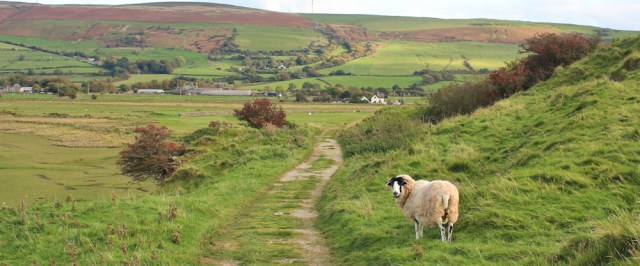 31-looking-inland-to-bank-house-moor-cumbria-ruth-livingstone-walking-the-english-coast