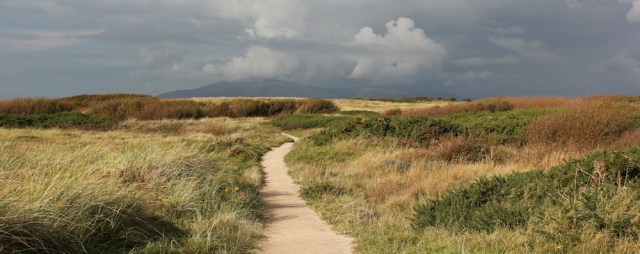 31-north-walney-nature-reserve-ruth-livingstones-coastal-walk