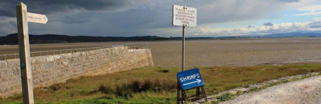 31-public-byway-across-cartmel-sands-ruth-walking-in-morecambe-bay