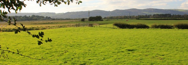 32-footpath-across-fields-ruths-coastal-walk-cumbria