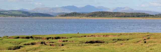 35-ulverston-channel-and-lake-distric-ruth-walking-the-english-coast