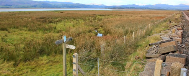 36-cumbria-coastal-way-ruth-livingstone-walking-the-english-coast