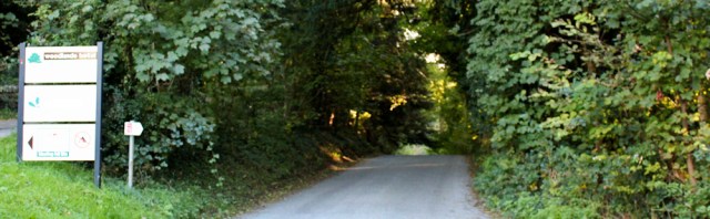 36-steep-hill-to-low-meathop-ruth-walking-to-grange-over-sands