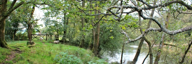 37-foopath-along-river-leven-ruth-walking-the-english-coast-cumbria