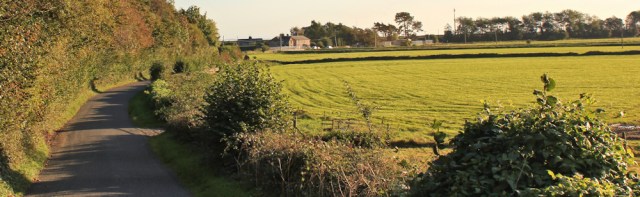 37-low-meathop-marsh-ruth-walking-to-grange-over-snads