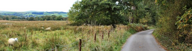 38-cycleway-holker-estates-ruth-walking-the-english-coast-cumbria