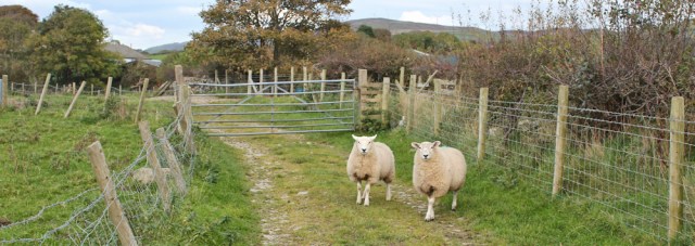 38-farm-track-soutergate-ruth-livingstone-walking-the-english-coast