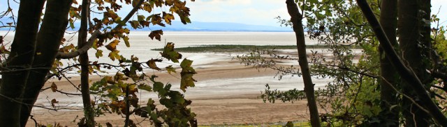 38-woodland-walk-conishead-priory-ruths-coastal-hike