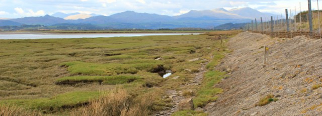 39-sandside-marsh-ruth-livingstone-walking-the-english-coast-up-the-duddon-estuary-cumbria