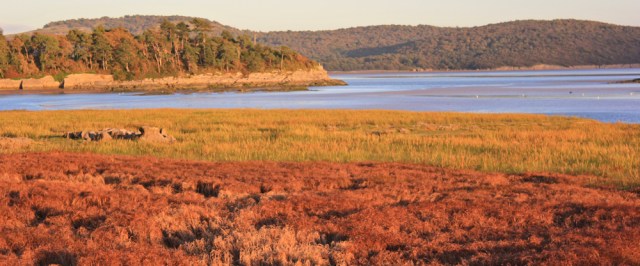 42-sunset-over-river-kent-ruth-livingstone
