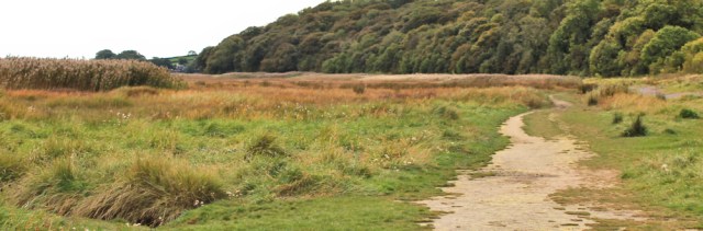 45-path-beside-marsh-ruth-walking-to-baycliff