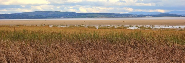47-view-across-ulveston-sands-morecambe-bay-ruth-livingstone