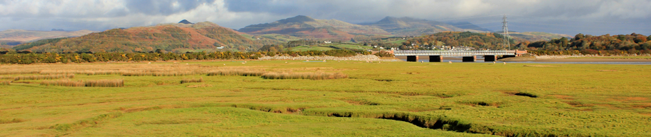 duddon-estuary-ruth-livingstone