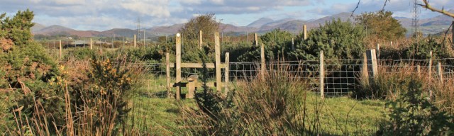 06-hidden-stile-ruth-livingstone-walking-the-english-coast