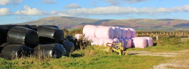 08-pink-hay-bales-ruth-livingstone-walking-the-english-coast-cumbria