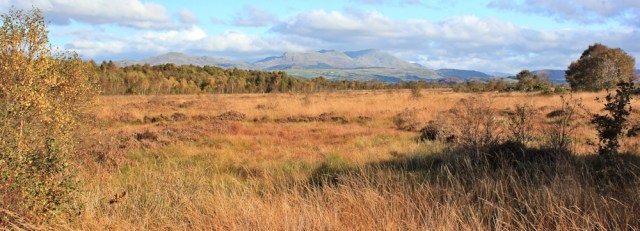 11-waitham-common-ruth-livingstone-walking-the-english-coast-cumbria