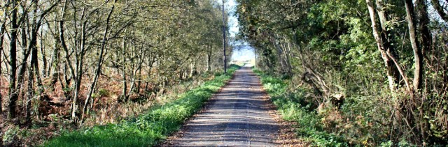 12-angerton-moss-ruth-livingstone-walking-the-english-coast-cumbria