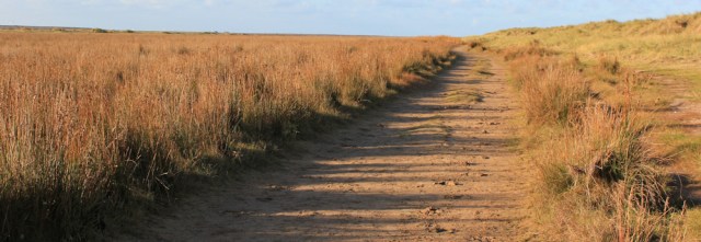 03-haverigg-dunes-and-marsh-ruth-walking-the-english-coast-cumbria