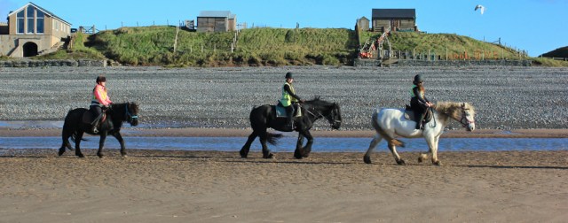 07-windswept-horses-silecroft-ruth-walking-the-english-coast-cumbria