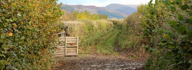 09-muddy-track-to-waberthwaite-ruth-livingstone-walking-the-english-coast-cumbria