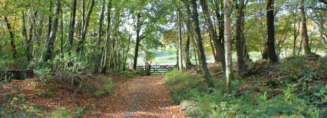 21-permissive-footpath-to-muncaster-castle-ruth-walking-the-english-coast-cumbria