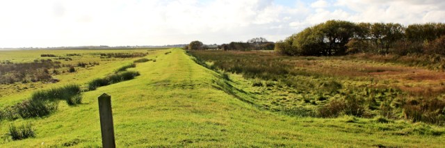 21-the-bank-ruth-livingstone-walking-the-english-coast-in-cumbria