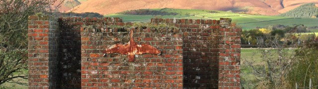 22-bird-hide-ruth-hiking-in-cumbria