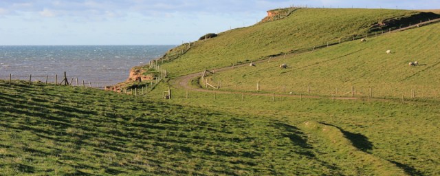 23-bog-hole-annaside-banks-ruth-walking-the-cumbrian-coast
