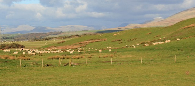 24-cumbrian-mountains-ruth-walking-the-english-coast