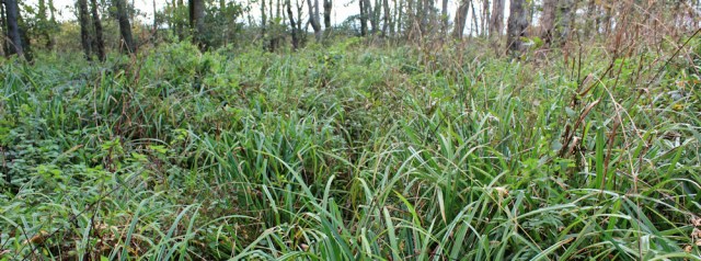 24-no-path-ruth-livingstone-walking-the-english-coast