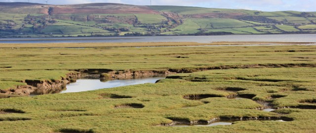 26-water-filling-the-marsh-millom-ruth-walking-the-english-coast