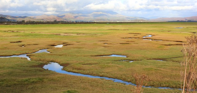28-across-salthouse-pool-millom-ruths-coastal-walk-cumbria