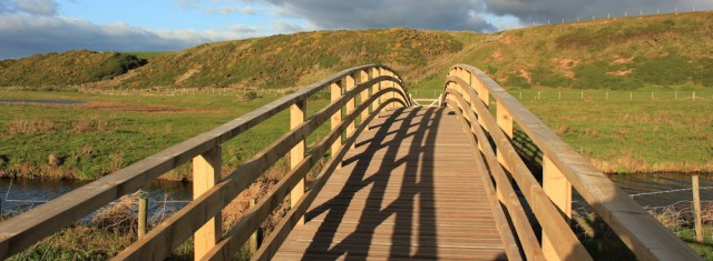 32-bridge-ruth-livingstone