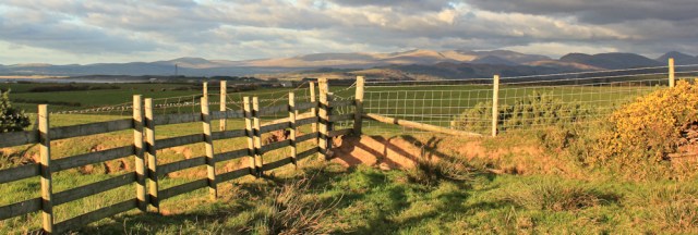 37-climbing-fences-ruth-livingstone-in-cumbria