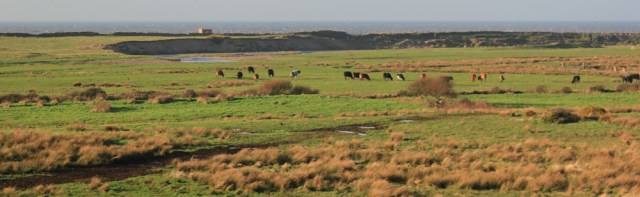 04-ruth-walking-the-english-coast-cumbrian-coastal-path