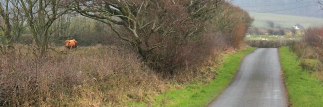 06-bull-saltcoats-ruth-hiking-through-cumbria